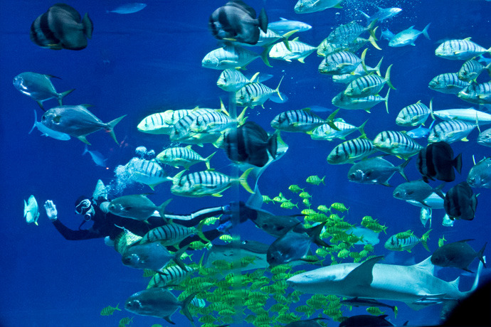 关注！关于组织申报2024年度海洋生物医药领域省科技计划定向项目的通知